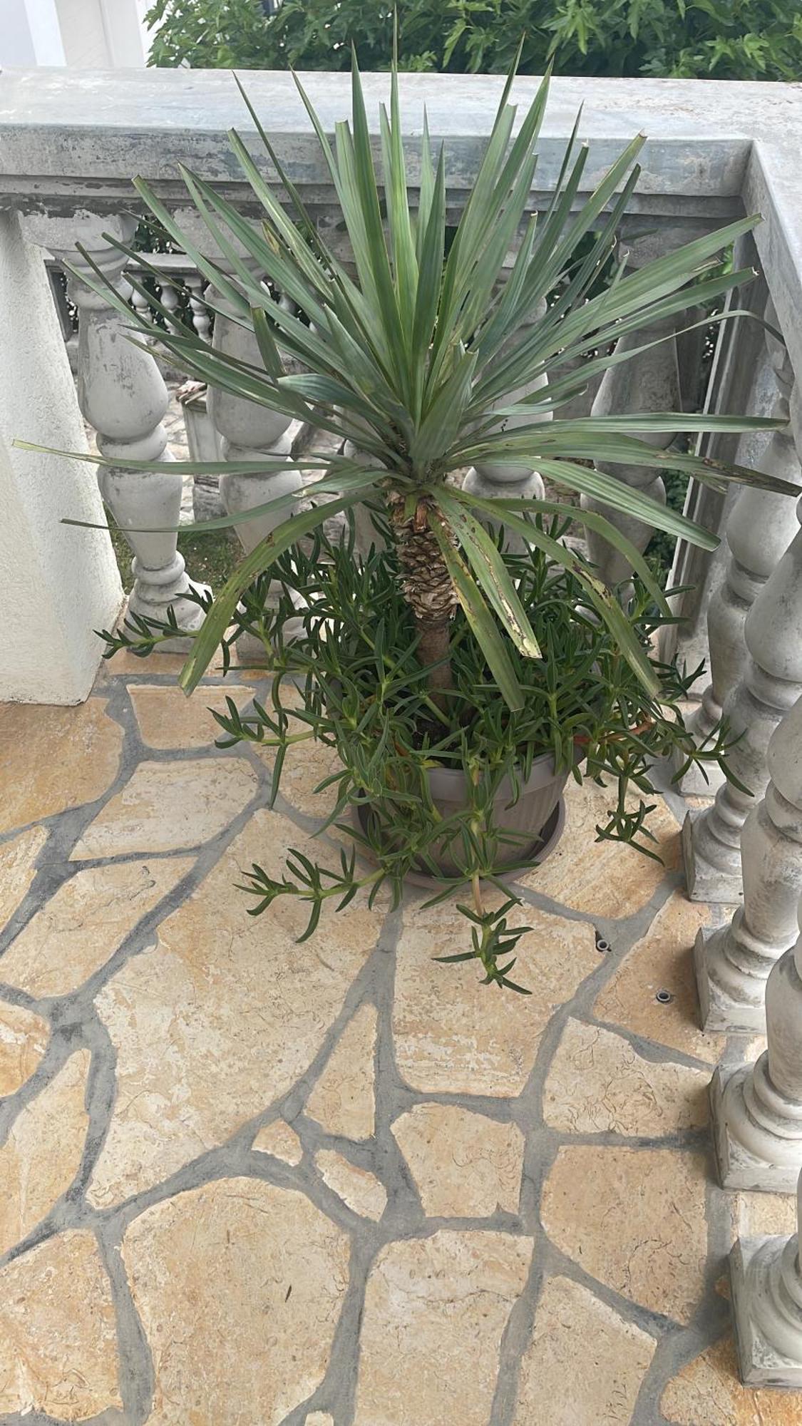 Holiday Home 1 比比涅 外观 照片